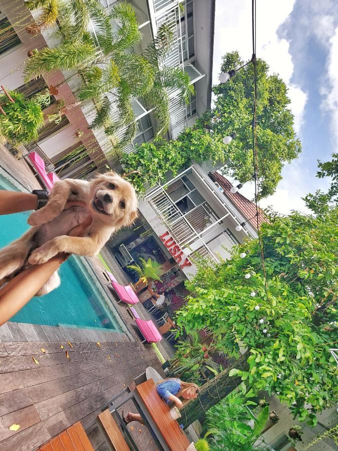 Lushy Hostel Canggu Dış mekan fotoğraf